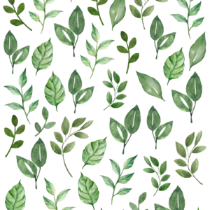 Liście 1, elementy uzupełniające