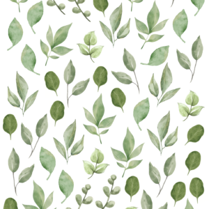 Liście 2, elementy uzupełniające