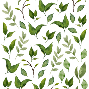 Liście 3, elementy uzupełniające